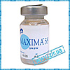 MAXIMA 55